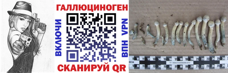 Галлюциногенные грибы прущие грибы  Холм 